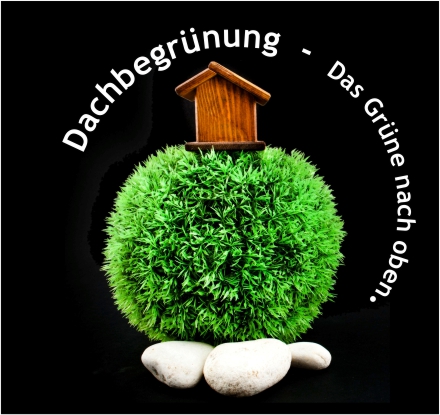 Dachbegrünung, KÜSTERS Garten- und Landschaftsbau Neuss - Morgensternsheide